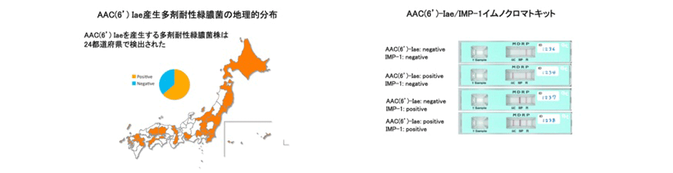 aac.png