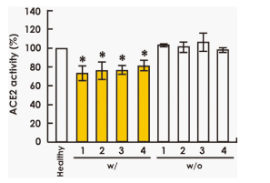 IgG of the patients inhibited ACE2 activity