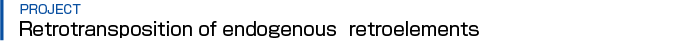 Retrotransposition of endogenous retroelements
