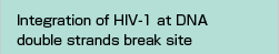 Integration of HIV-1 at DNA double strands break site