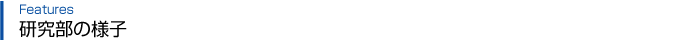features_title01.gif