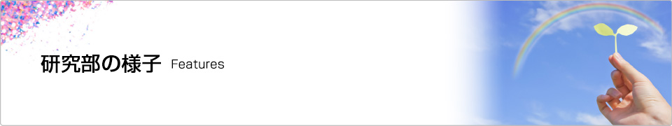 headline_features.jpg