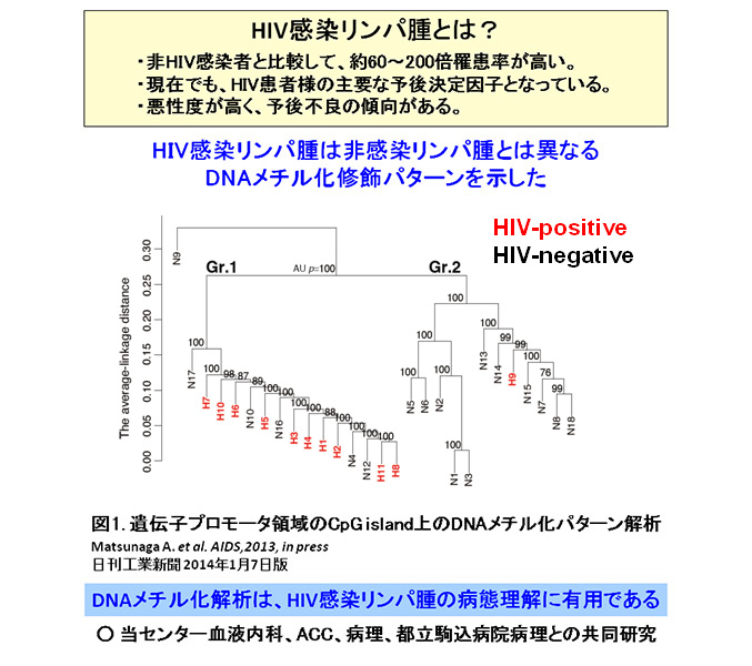 HIV感染リンパ種とは？