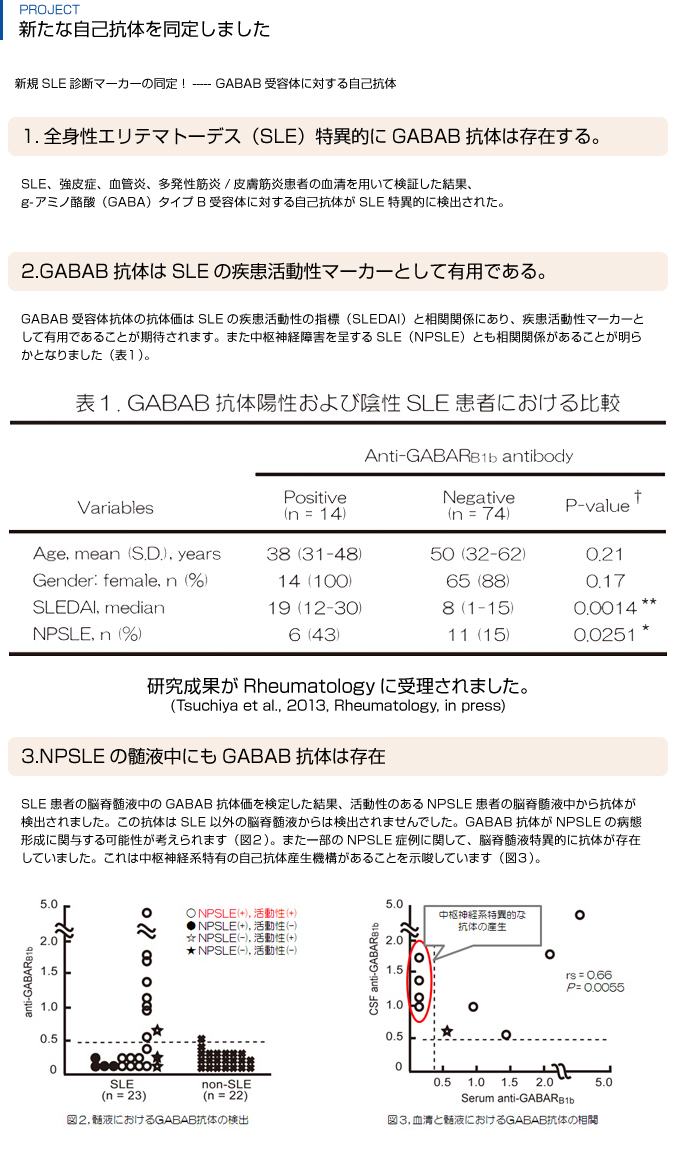 GABAB受容体に対する自己抗体