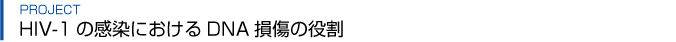 project_idx_title01.gif