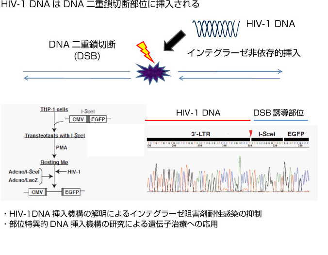 project_idx_title01_img.jpg