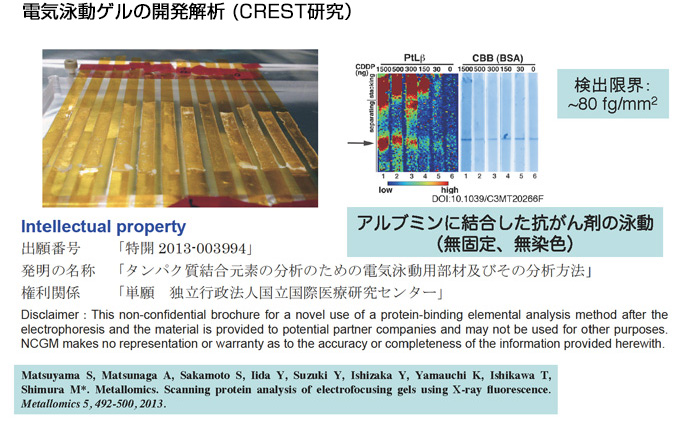 電気泳動ゲルの開発解析 (CREST研究）