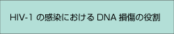 side_navi02_on.gif