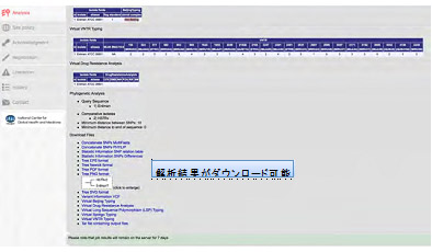 解析結果画面4