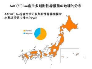 研究内容01