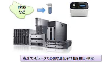 本格的な細菌全ゲノム解析