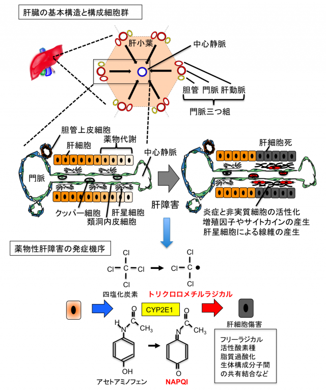 20150403-063809.png