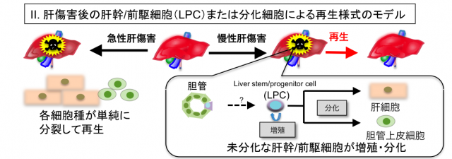 20150403-063858.png
