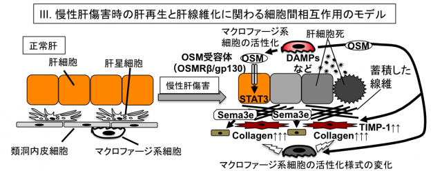 20150403-063906.png