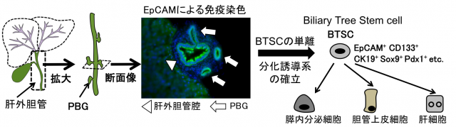 20150403-080756.png
