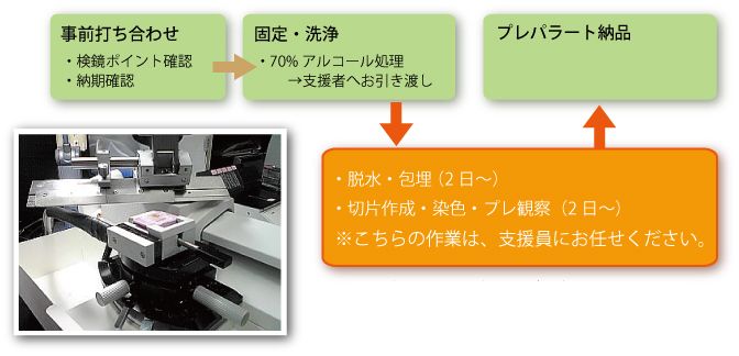 免疫染色支援サービス終了のお知らせ