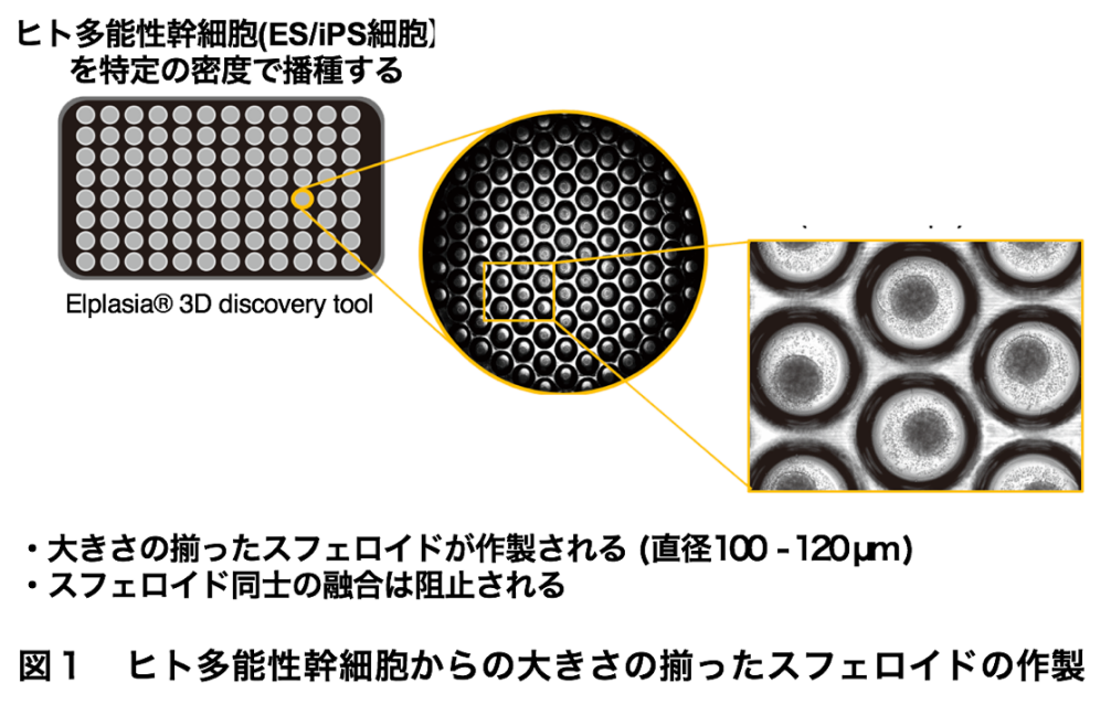 図1