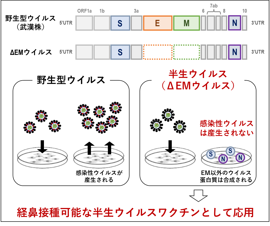 20250520_fig_1.pmg