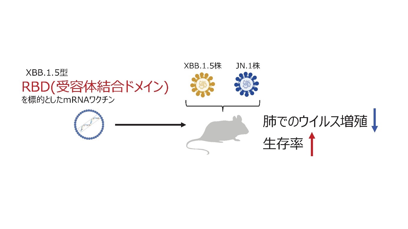 20250613_fig_1.png.jpg
