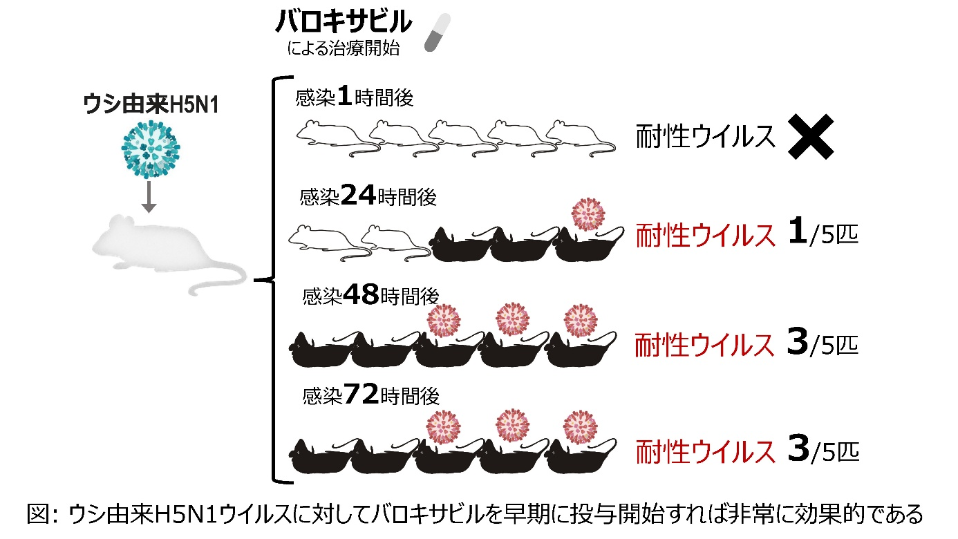 20250624_fig_1.png