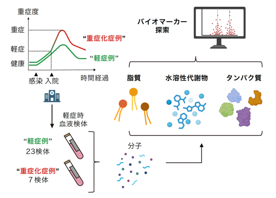 COVID-19重症患者の予測マーカー新規候補.png