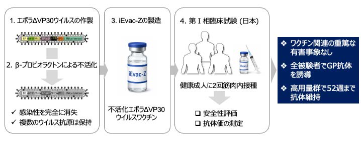 新しい不活化エボラワクチン「iEvac-Z」の第I 相臨床試験で安全性と免疫原性を確認